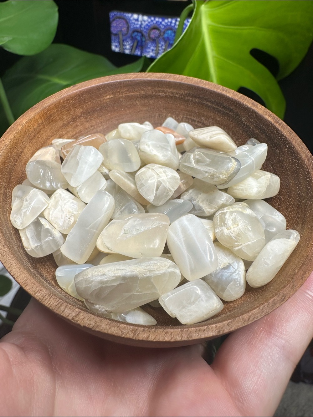 Set of 5 Pieces; Random Select Moonstone Tumbles